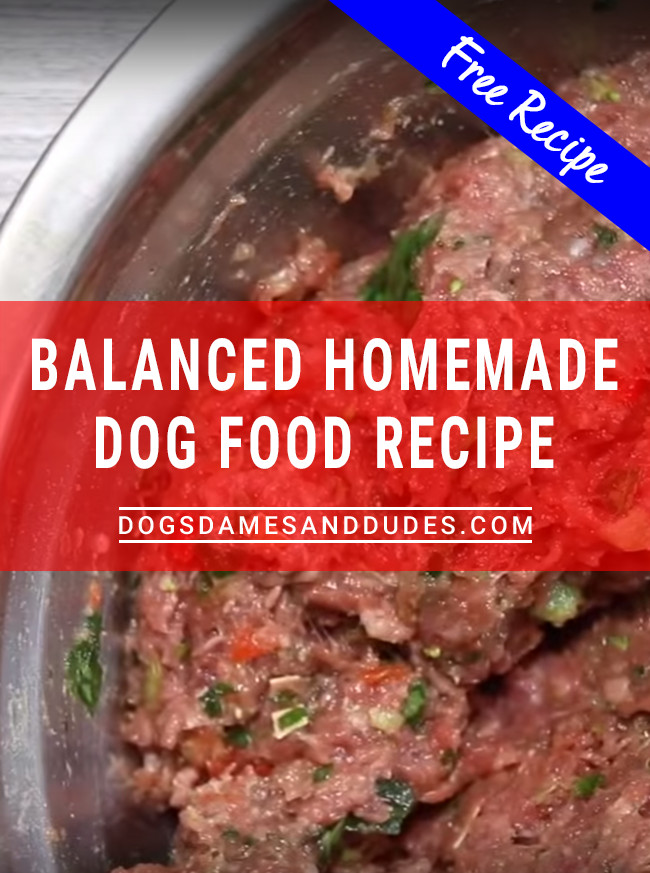 Ground Beef Dog Food Recipe
 dogsdamesanddudes Balanced Homemade Dog Food Recipe