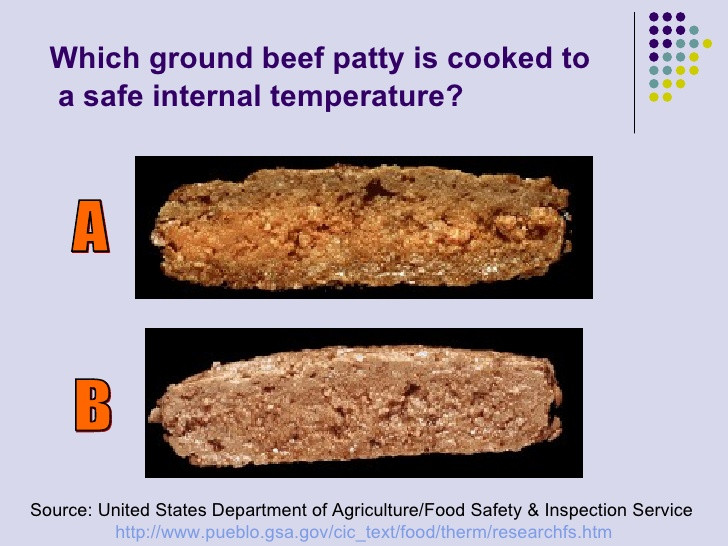 Ground Beef Internal Temperature
 Food Safety And Technology