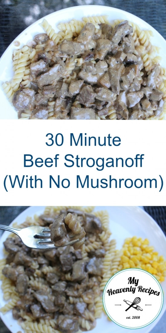 Ground Beef Stroganoff Without Mushrooms
 30 Minute Beef Stroganoff Recipe Without The Mushrooms
