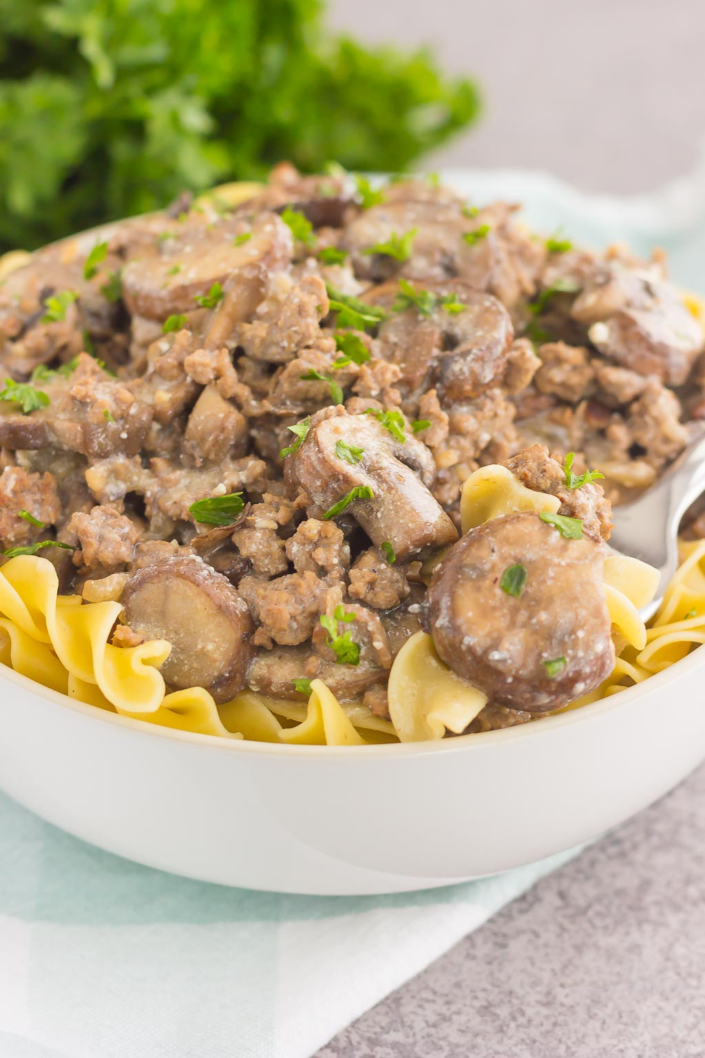 The Best Ideas for Ground Beef Stroganoff without Mushrooms - Home ...