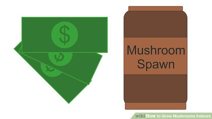 Growing Shiitake Mushrooms Indoors
 2 Easy Ways to Grow Mushrooms Indoors with