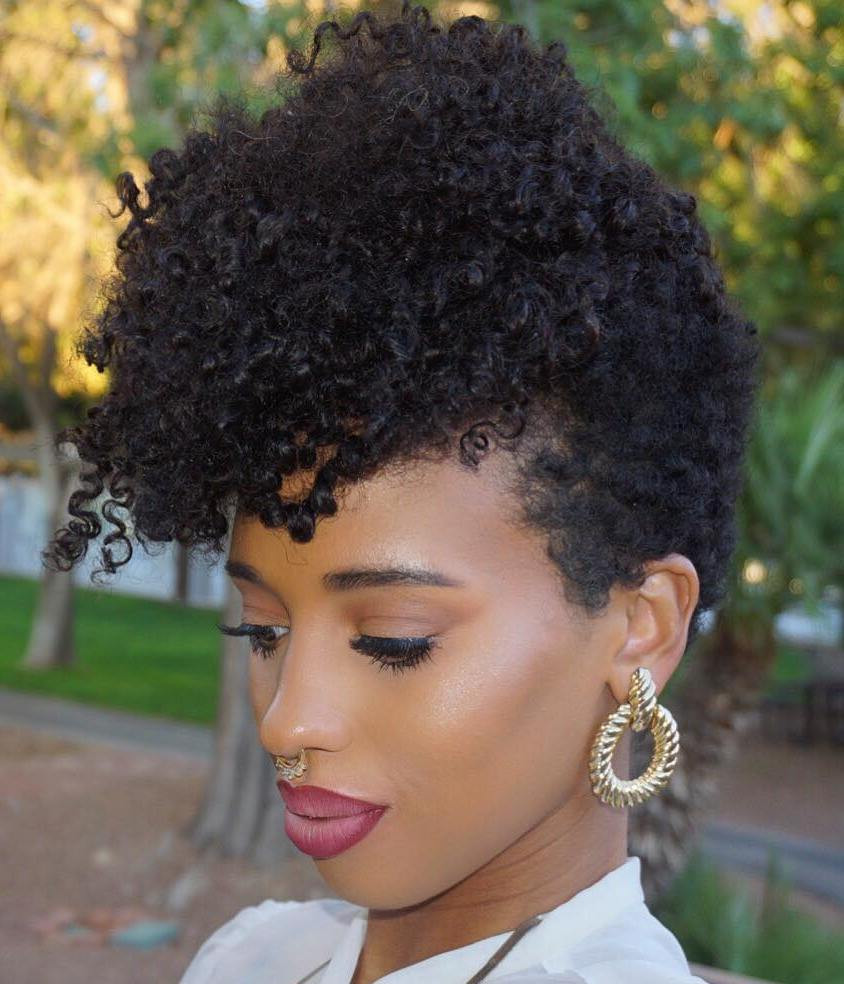 Hairstyles For Naturally Curly Black Hair
 40 Cute Tapered Natural Hairstyles for Afro Hair