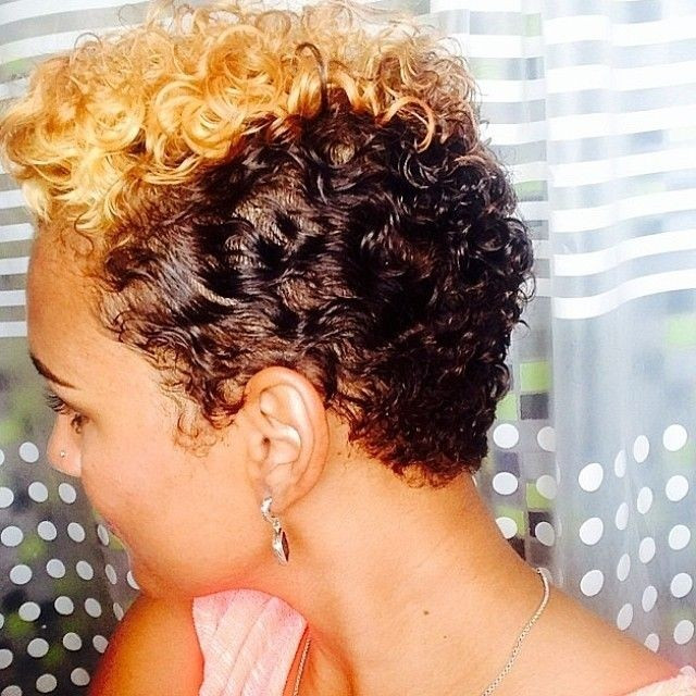 Hairstyles For Short Natural African American Hair
 55 Winning Short Hairstyles for Black Women