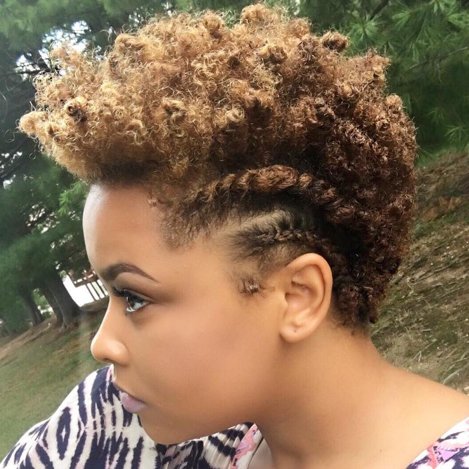 Hairstyles For Short Natural African American Hair
 75 Most Inspiring Natural Hairstyles for Short Hair in 2020