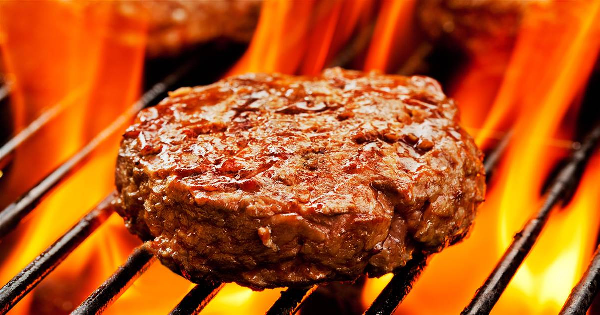 Hamburgers On The Grill
 Grilled meats 7 things you need to know when you barbecue