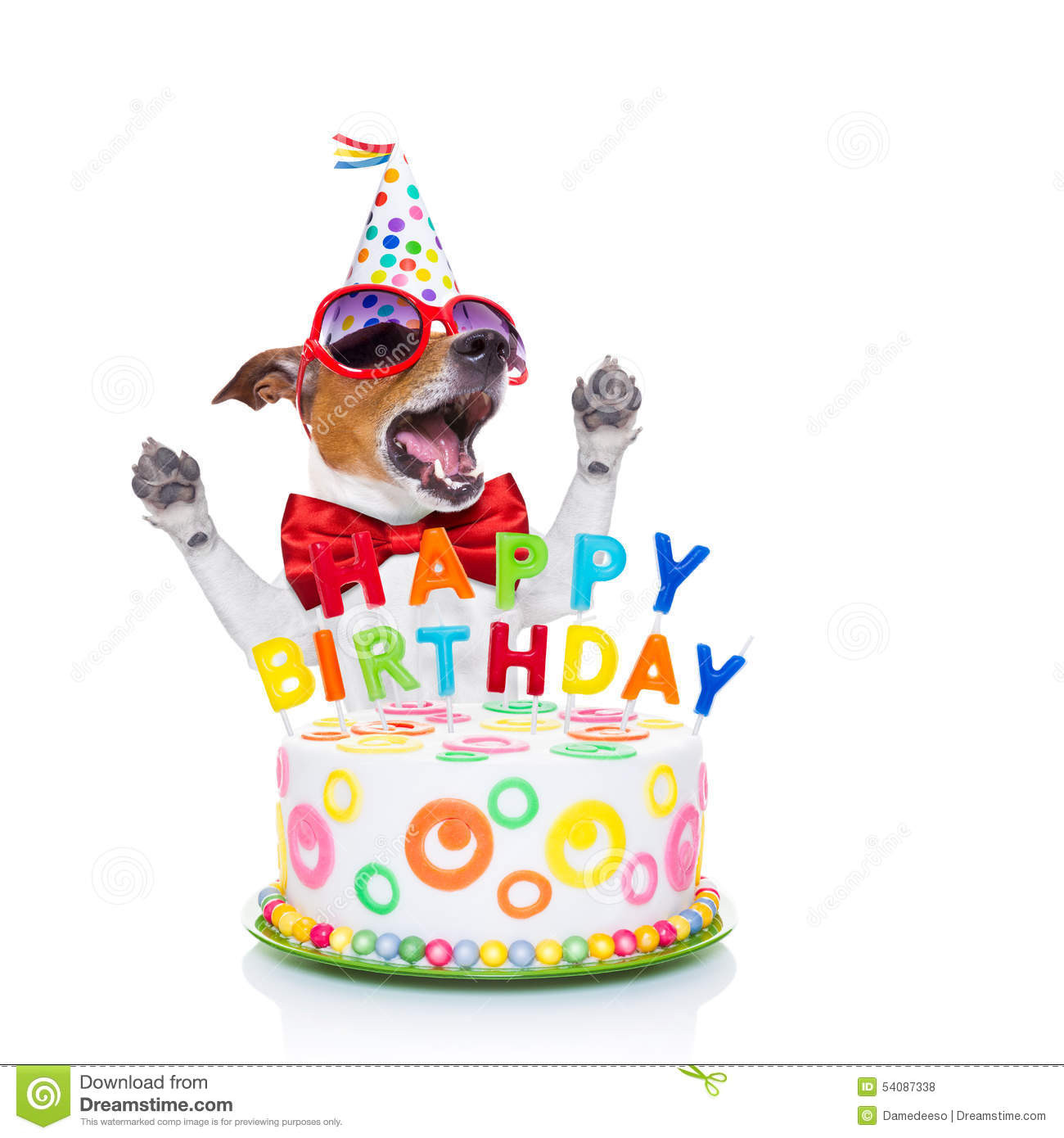 Happy Birthday Cake Funny
 Happy birthday dog singing stock photo Image of cake