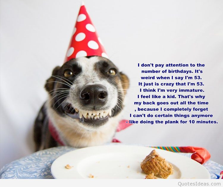 Happy Birthday Dog Quotes
 new birthday quotes