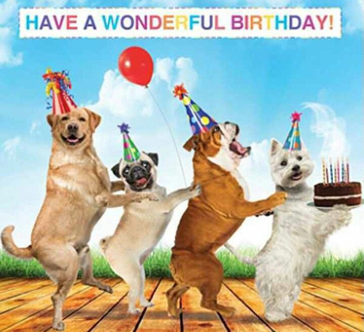 Happy Birthday Dog Quotes
 Pin by Jo = = Allen on Greeting Cards