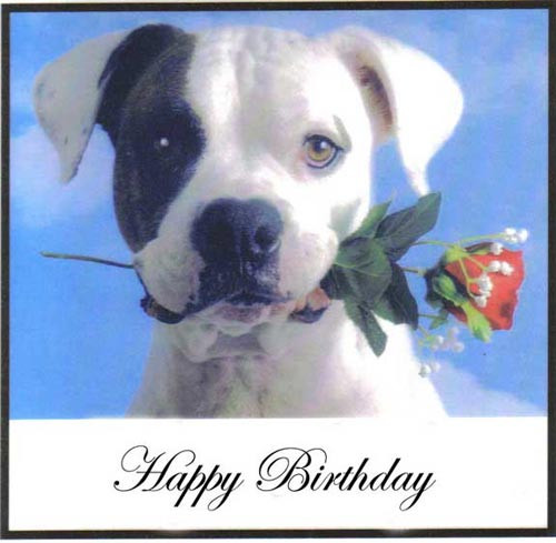 Happy Birthday Dog Quotes
 Birthday Wishes With Puppies