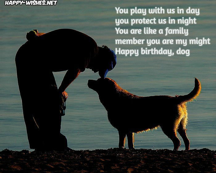 Happy Birthday Dog Quotes
 Happy Birthday Wishes For Dog Quotes & Memes
