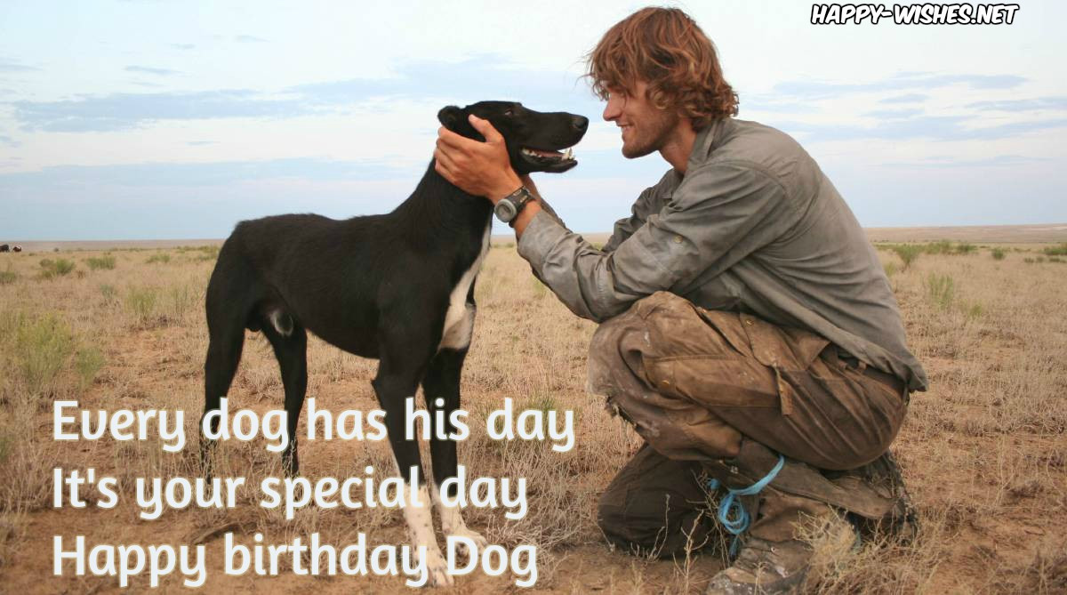 Happy Birthday Dog Quotes
 Happy Birthday Wishes For Dog Quotes & Memes