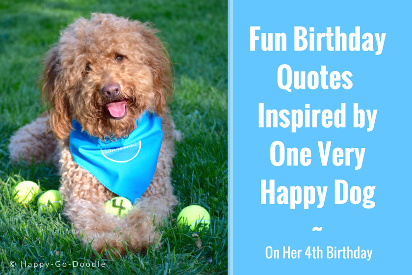 Happy Birthday Dog Quotes
 7 Fun Birthday Quotes From a Very Happy Birthday Dog