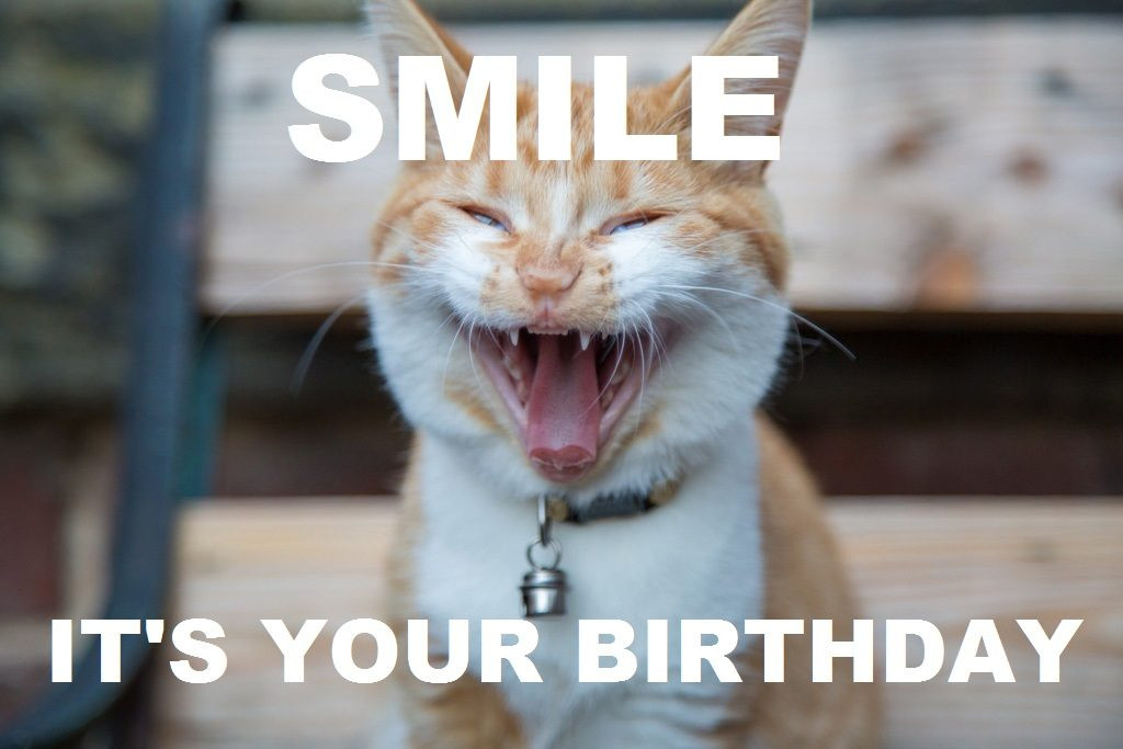 Happy Birthday Funny Memes
 Happy Birthday Memes and Funny Messages