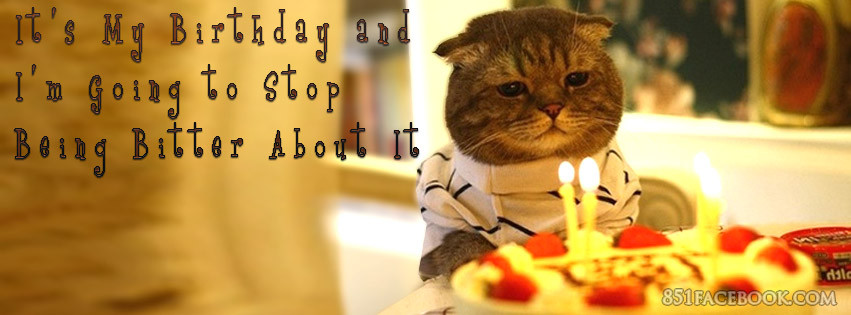 Happy Birthday Quotes For Facebook
 Cute Cat Birthday Quotes QuotesGram