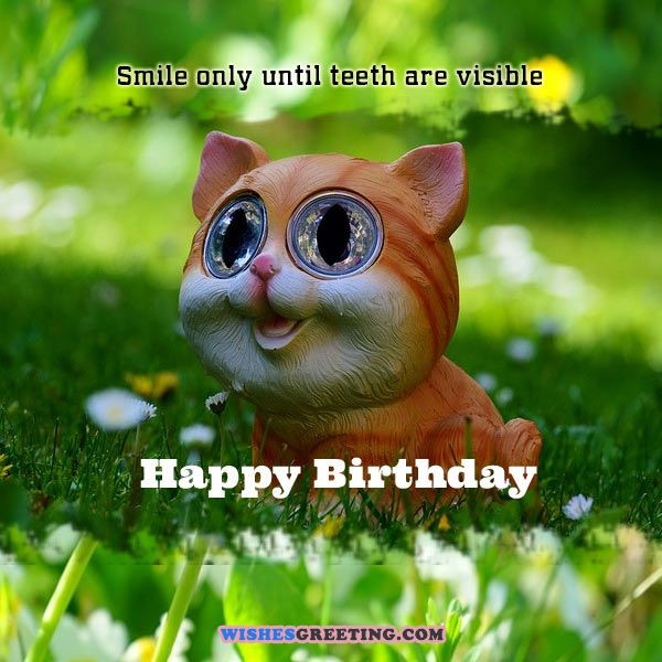 Happy Birthday Wishes Funny
 105 Funny Birthday Wishes and Messages