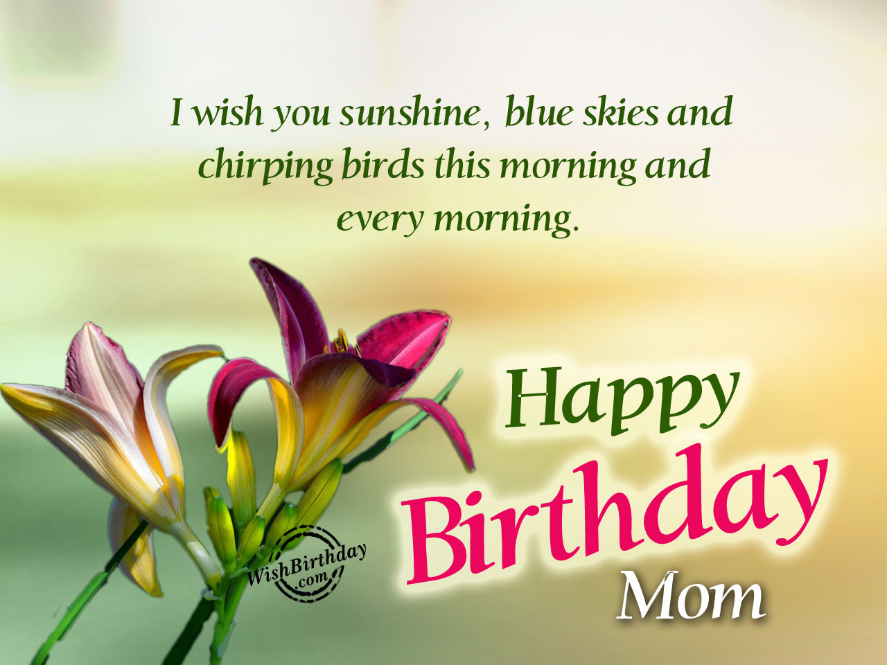 Happy Birthday Wishes To Mom
 Birthday Wishes For Mother Birthday