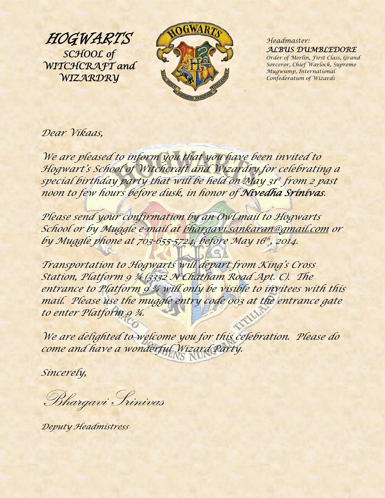 Harry Potter Birthday Invitation
 SBNV Our World Harry Potter Birthday Party