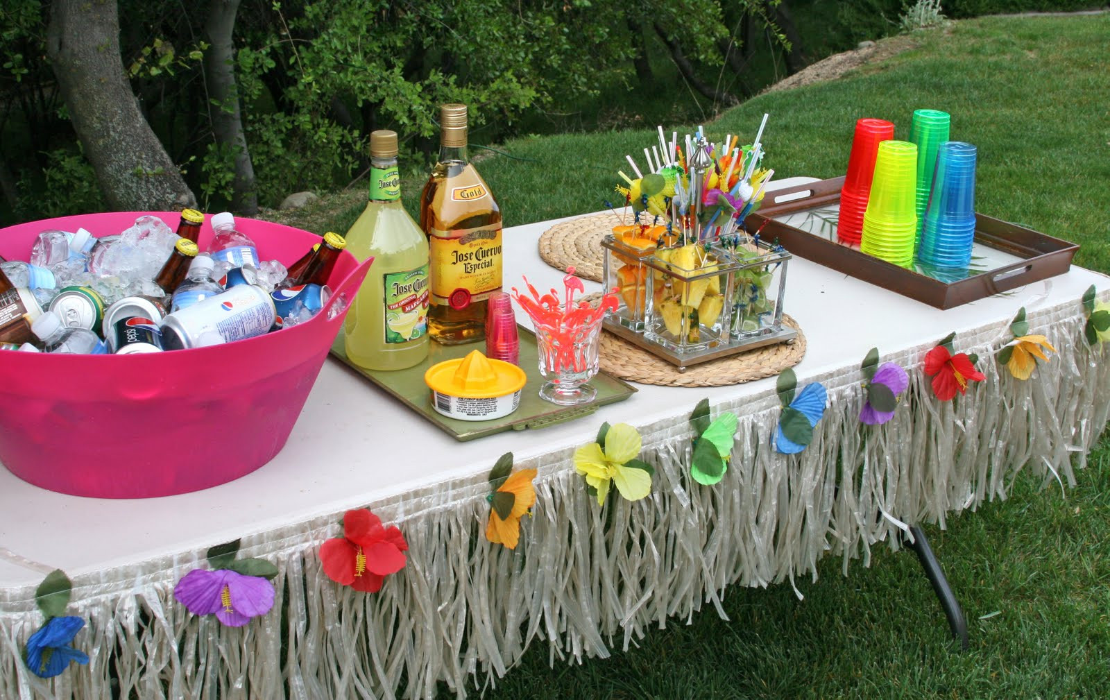 Hawaiian Birthday Party Ideas For Adults
 Parties 30th Birthday Luau Party Glorious Treats