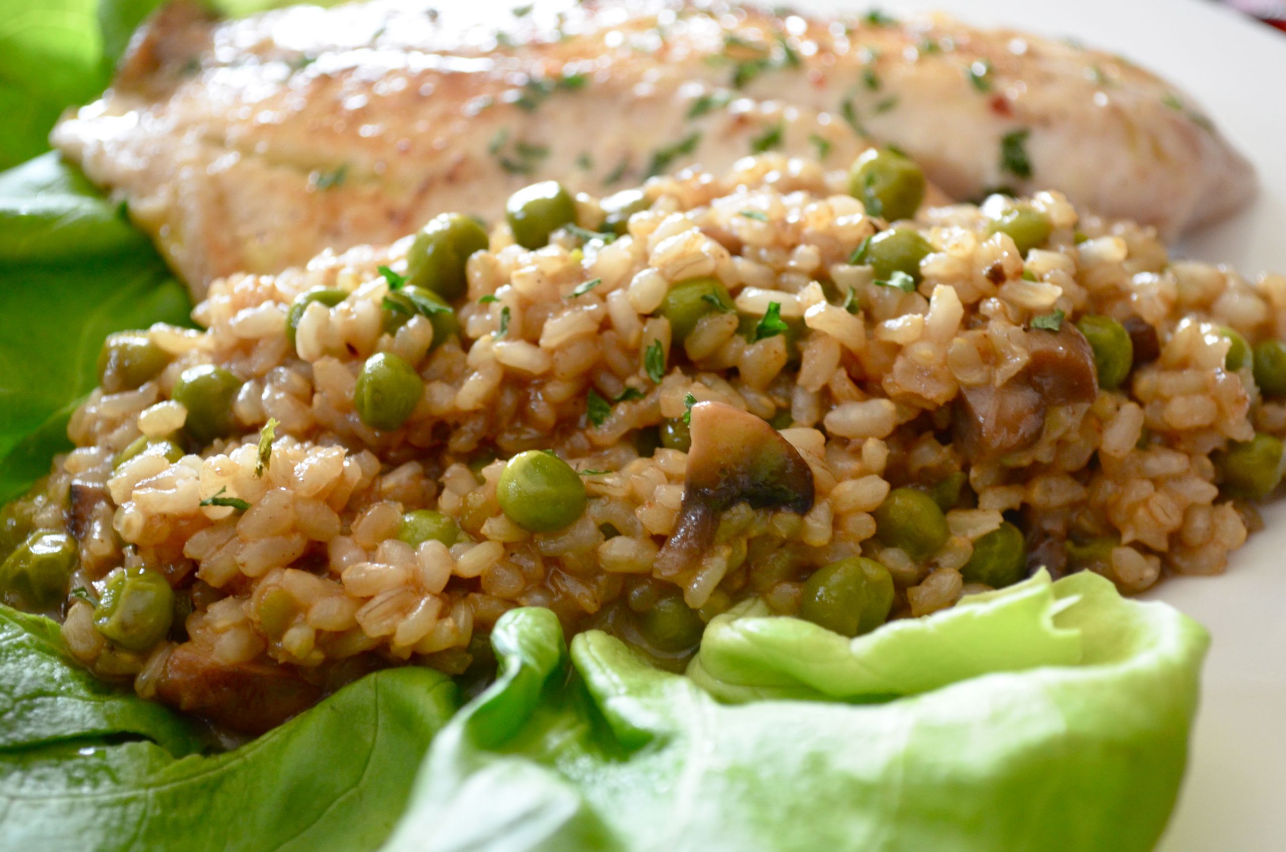 Healthy Brown Rice Recipes
 6 Best Healthy Brown Rice Recipes