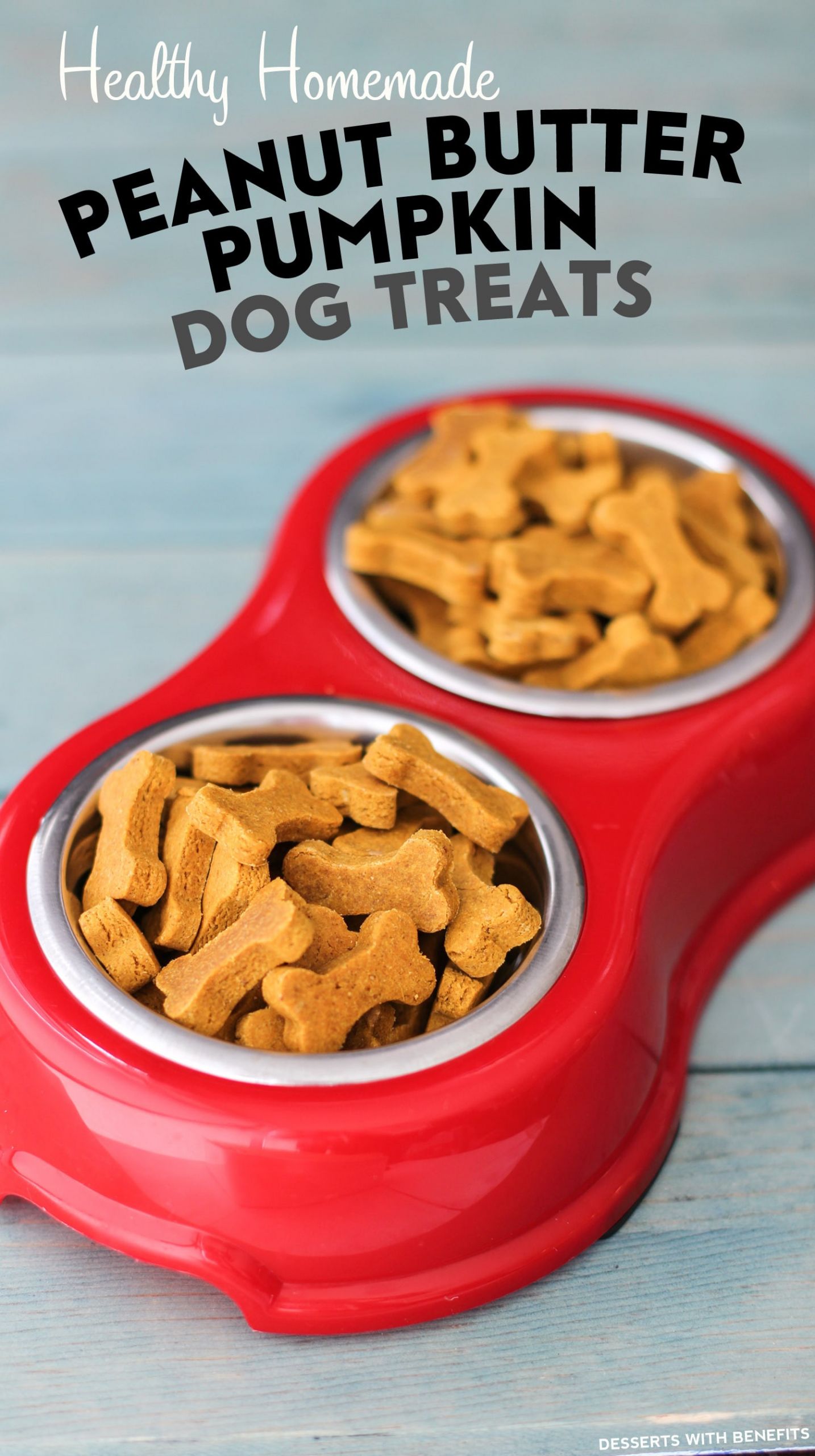 Healthy DIY Dog Treats
 Healthy Homemade Peanut Butter Pumpkin Dog Treats