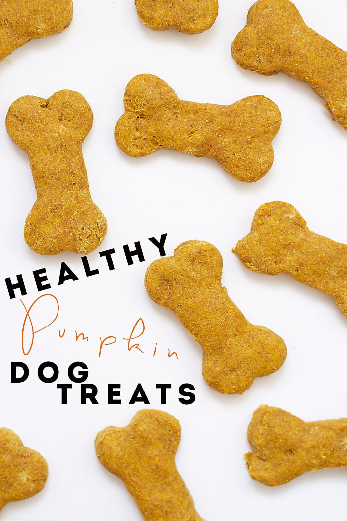 Healthy DIY Dog Treats
 Healthy Pumpkin Dog Treats