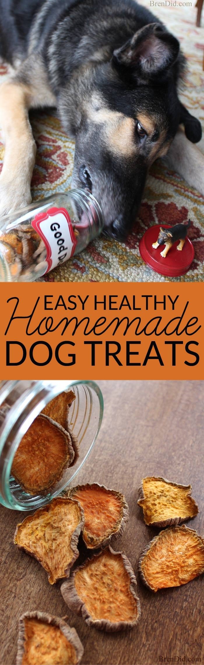 Healthy DIY Dog Treats
 Healthy Homemade Dog Treats Bren Did