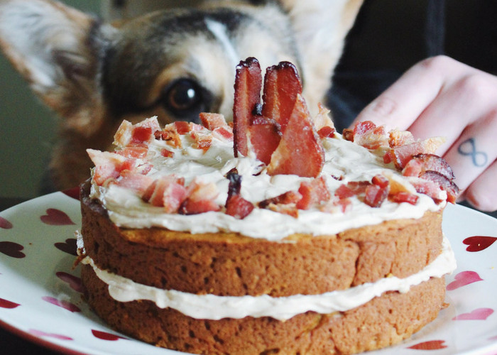 Healthy Dog Birthday Cake Recipe
 Sweet and Salty Dog Birthday Cake Parsnips and Pastries