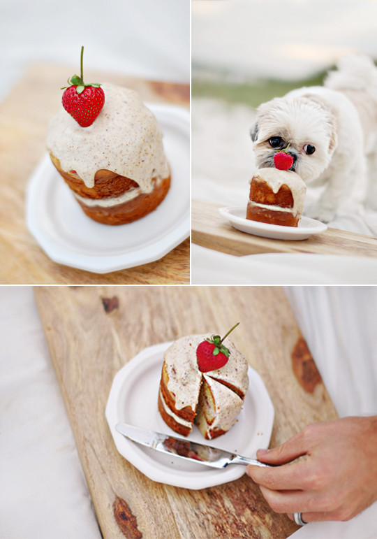 Healthy Dog Birthday Cake Recipe
 The Best Dog Birthday Cake Recipe Coco’s Birthday
