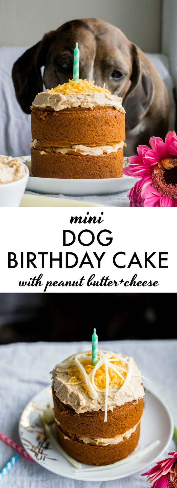 Healthy Dog Birthday Cake Recipe
 Mini Dog Birthday Cake The Almond Eater