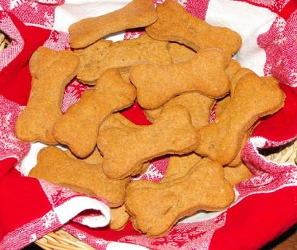 Healthy Dog Snacks
 Healthy Recipes Homemade Dog Treats