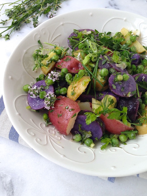 Healthy Potato Salad Recipe
 Healthy Potato Salad Recipe