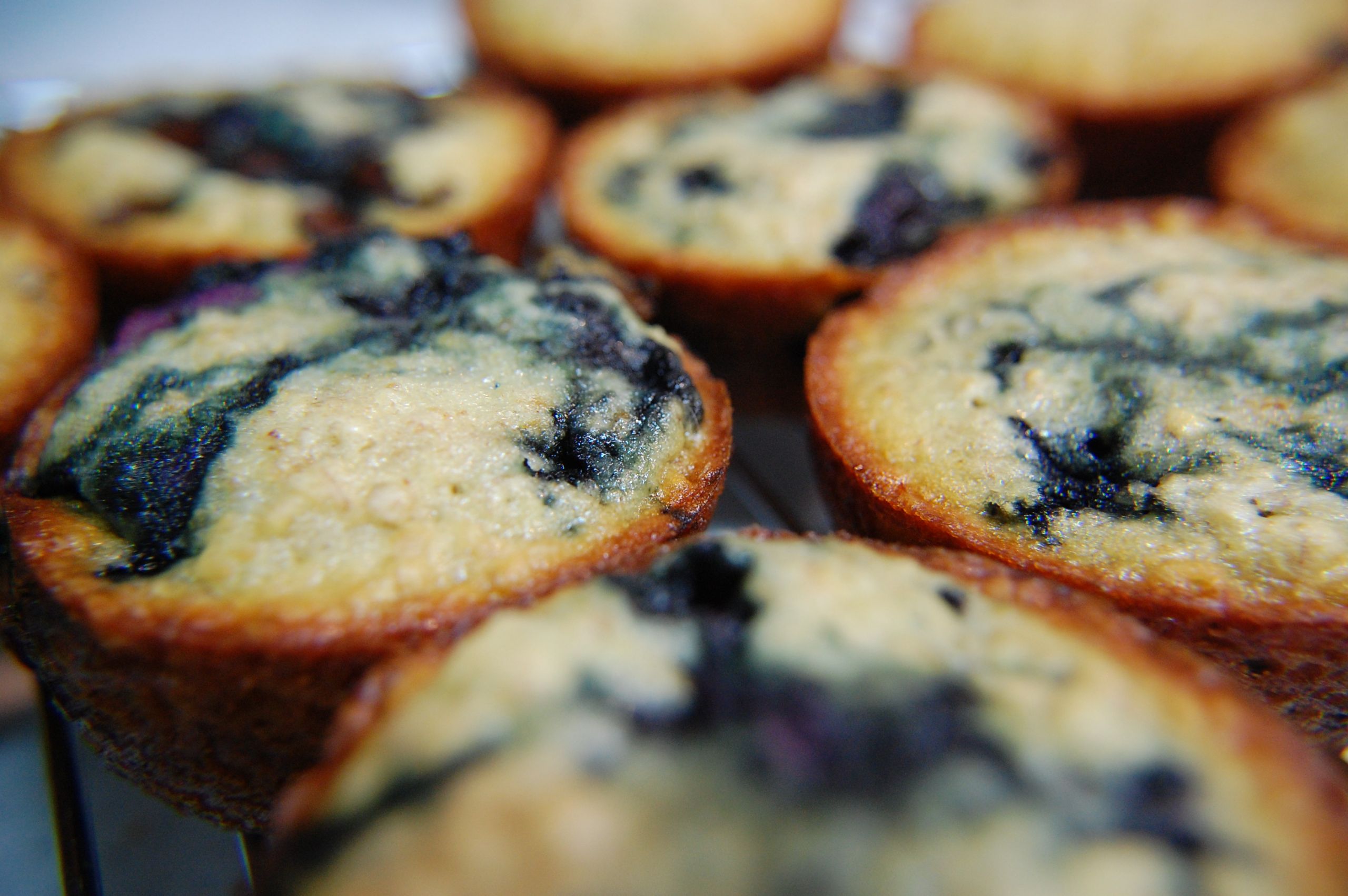 High Fiber Muffin Recipes
 Low fat High Fiber Blueberry Bran Muffins BigOven