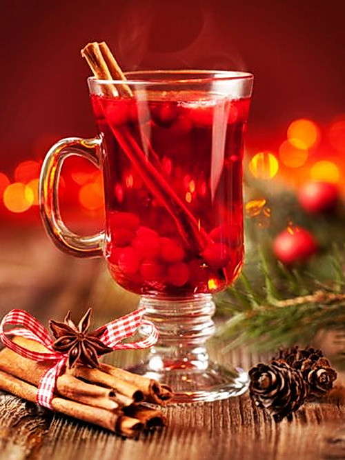 Holiday Cocktail Ideas Christmas Party
 Cranberry Christmas Cocktail Recipe – Alcoholic Holiday