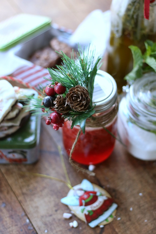 Holiday Food Gift Ideas
 5 Homemade Holiday Food Gift Ideas