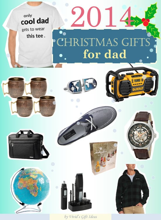 Holiday Gift Ideas For Dad
 What Christmas Present to Get for Dad