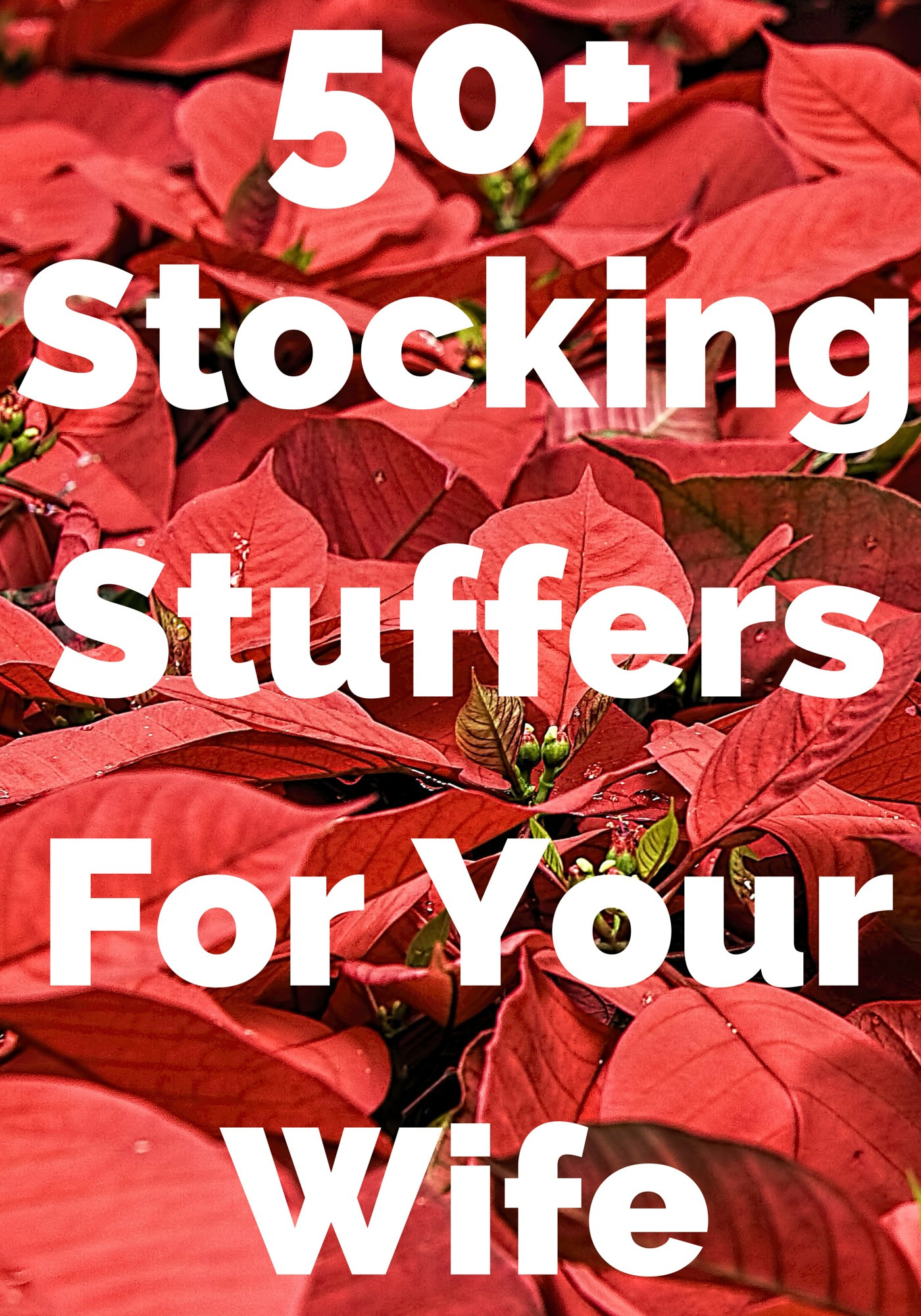 Holiday Gift Ideas For The Wife
 Best 50 Stocking Stuffers for Your Wife