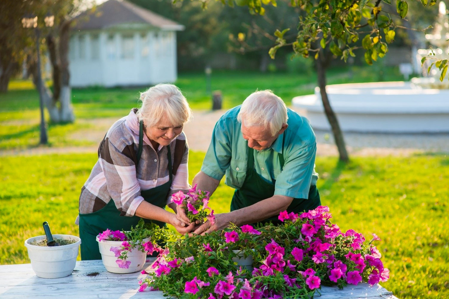 Home Activities For Adults
 Home Health Care Agency Serving New York