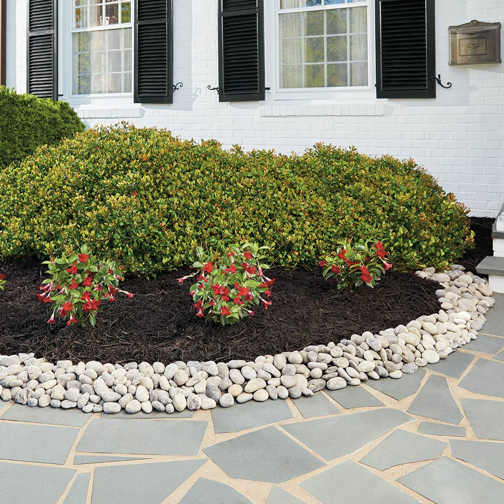 Home Depot Landscape Design
 Rock Landscaping Ideas That Increase Curb Appeal The