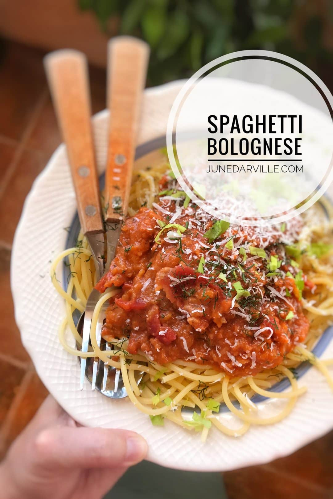 Homemade Spaghetti Sauce Recipe
 Spaghetti Sauce Homemade & Best Ever
