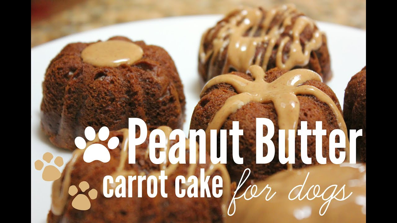 How To Make A Birthday Cake For A Dog
 How to Make Peanut Butter Carrot Cake for dogs