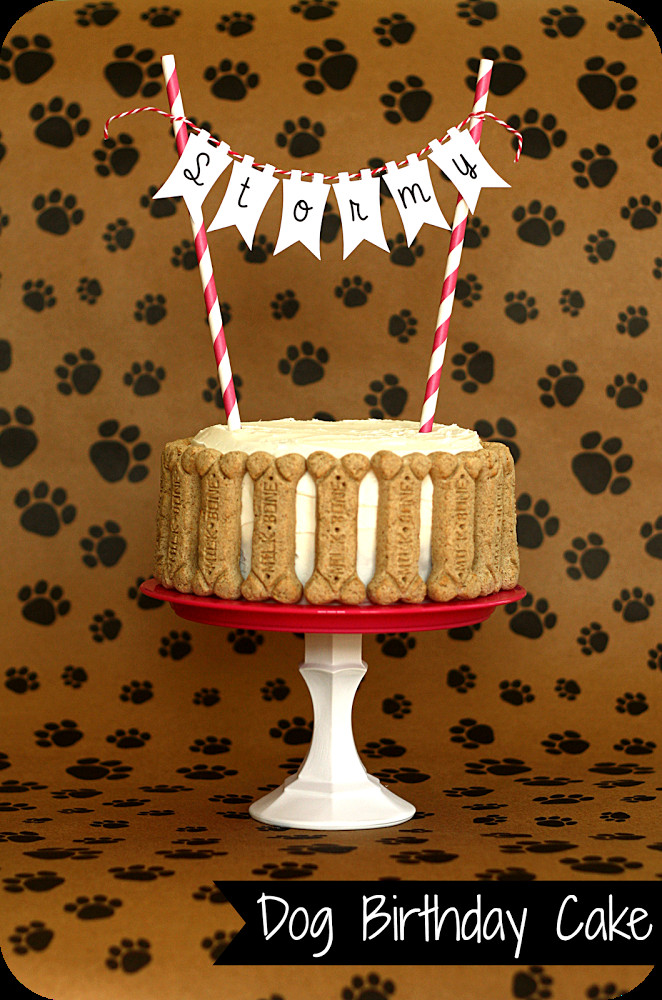 How To Make A Birthday Cake For A Dog
 Make Your Dog a Birthday Cake