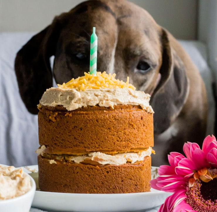 How To Make A Birthday Cake For A Dog
 14 Dog Birthday Cake & Cupcake Homemade Recipes