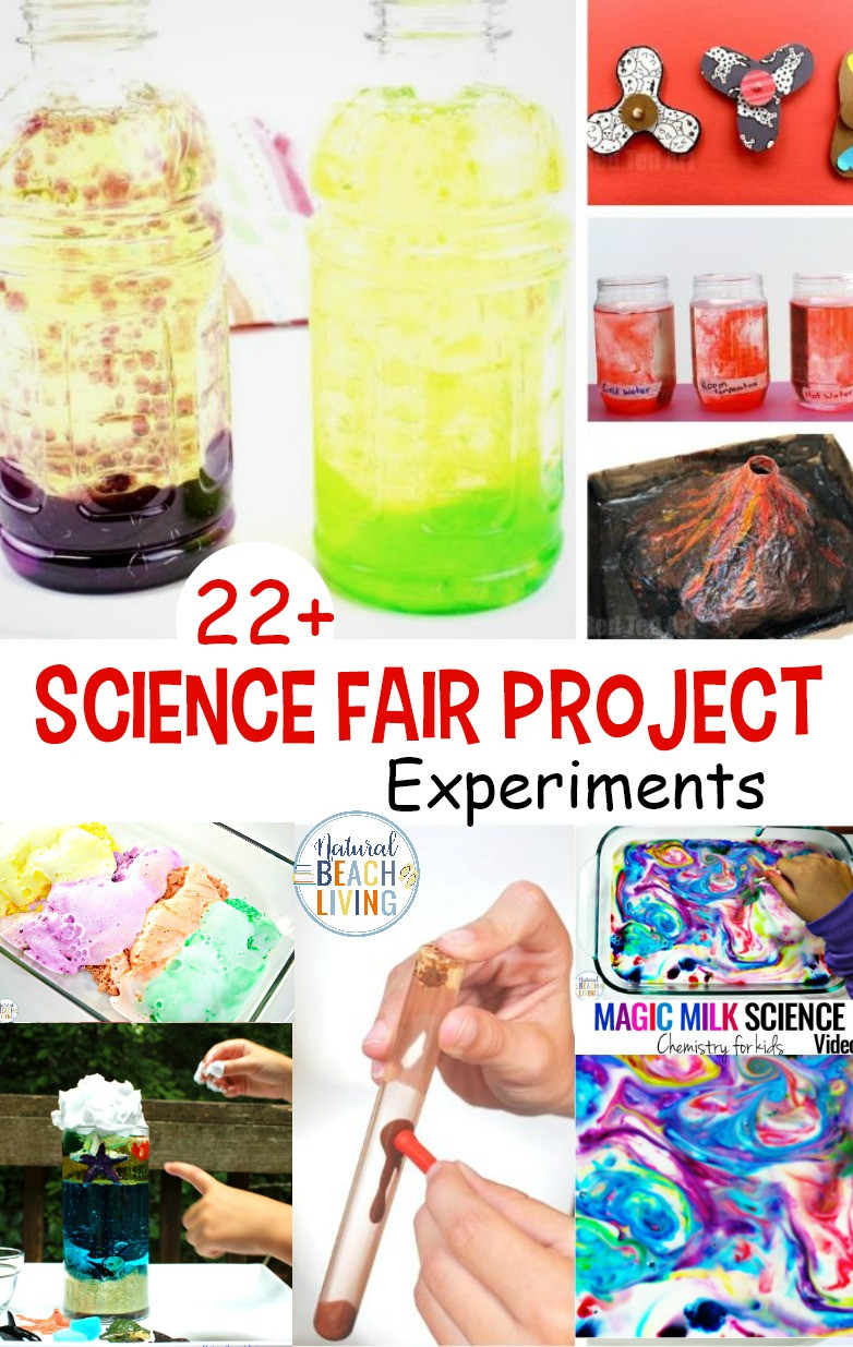 How To Projects For Kids
 25 Science Fair Project Ideas Science Experiments for