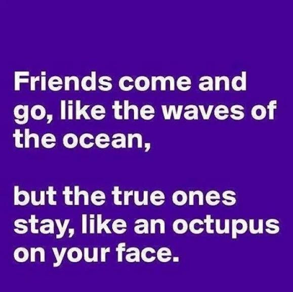 Humorous Friendship Quotes
 Top 40 Very Funny Friendship Quotes – Quotations and Quotes
