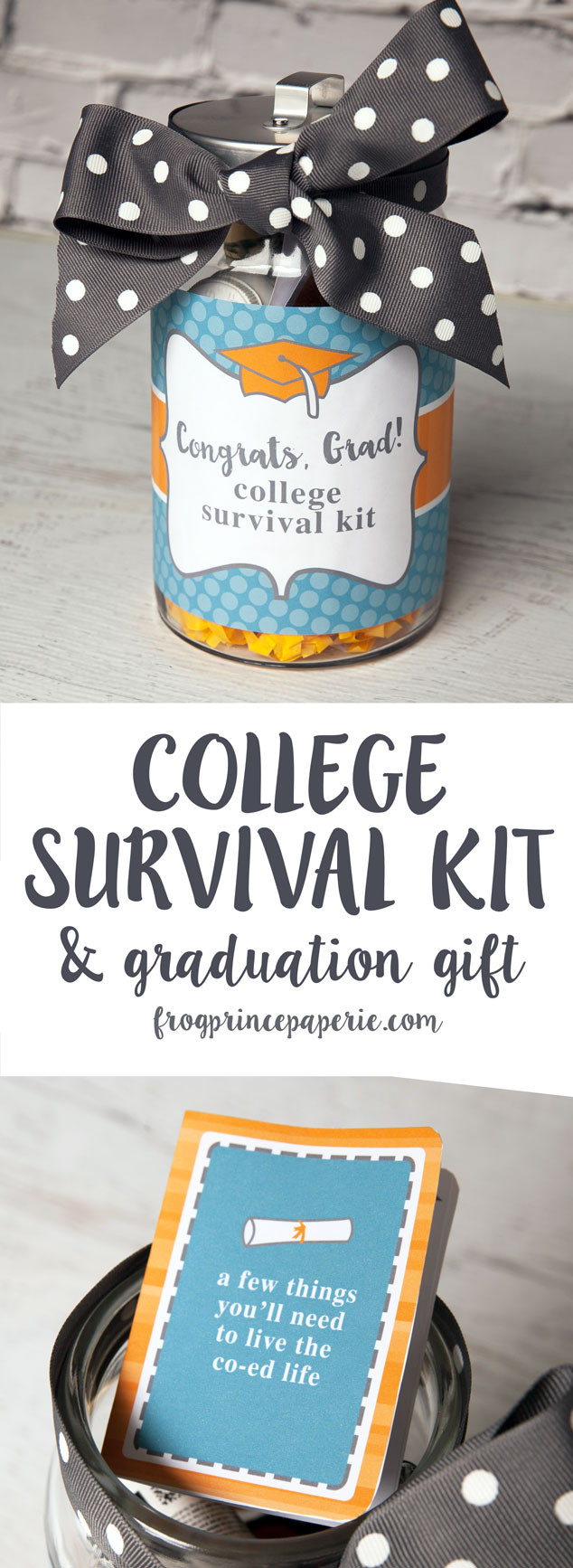 Ideas For College Graduation Gift
 College Survival Kit DIY Graduation Gift Frog Prince Paperie