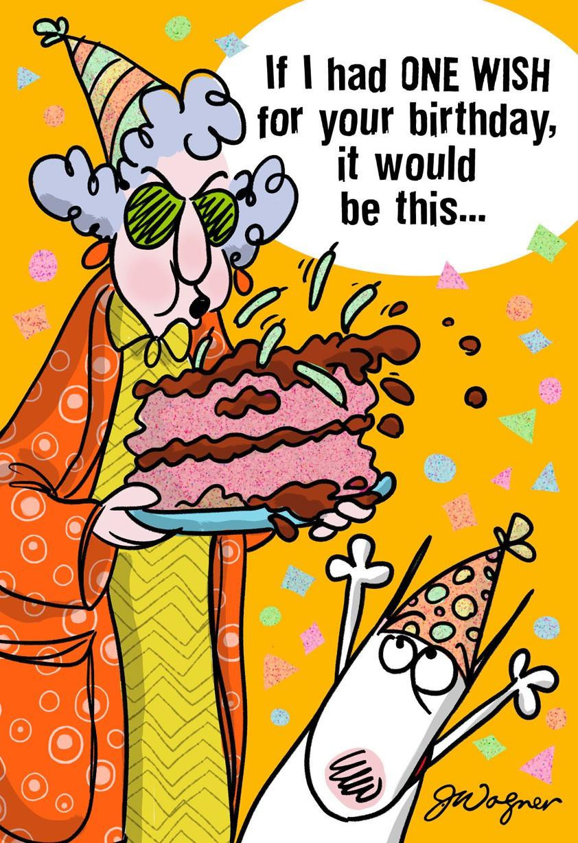 Images Of Funny Birthday Cards
 e Wish Funny Birthday Card Greeting Cards Hallmark