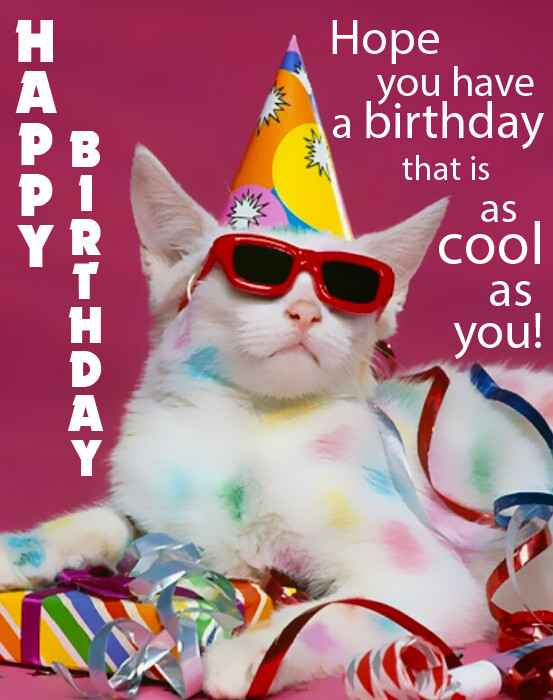 Images Of Funny Birthday Cards
 Happy Birthday Funny Birthday eCards and Gifs