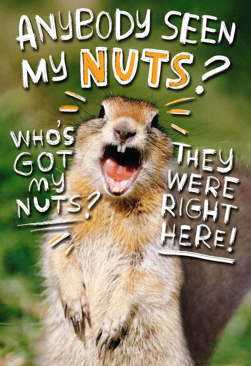 Images Of Funny Birthday Cards
 Go Nuts Funny 50th Birthday Card Greeting Cards Hallmark