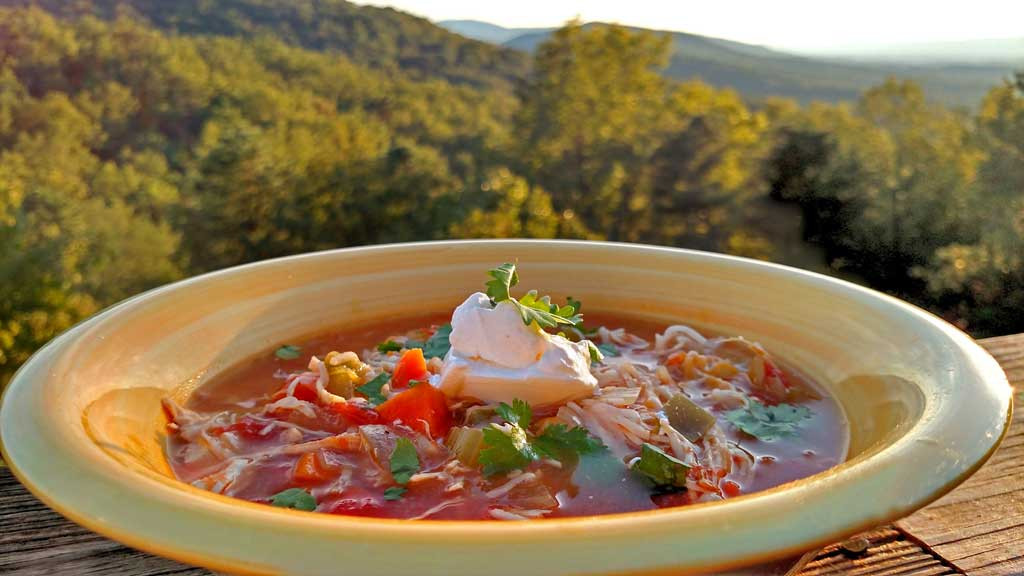Ina Garten Chicken Tortilla Soup
 Crock Pot Mexican Chicken Soup An Ina Garten Inspired Recipe