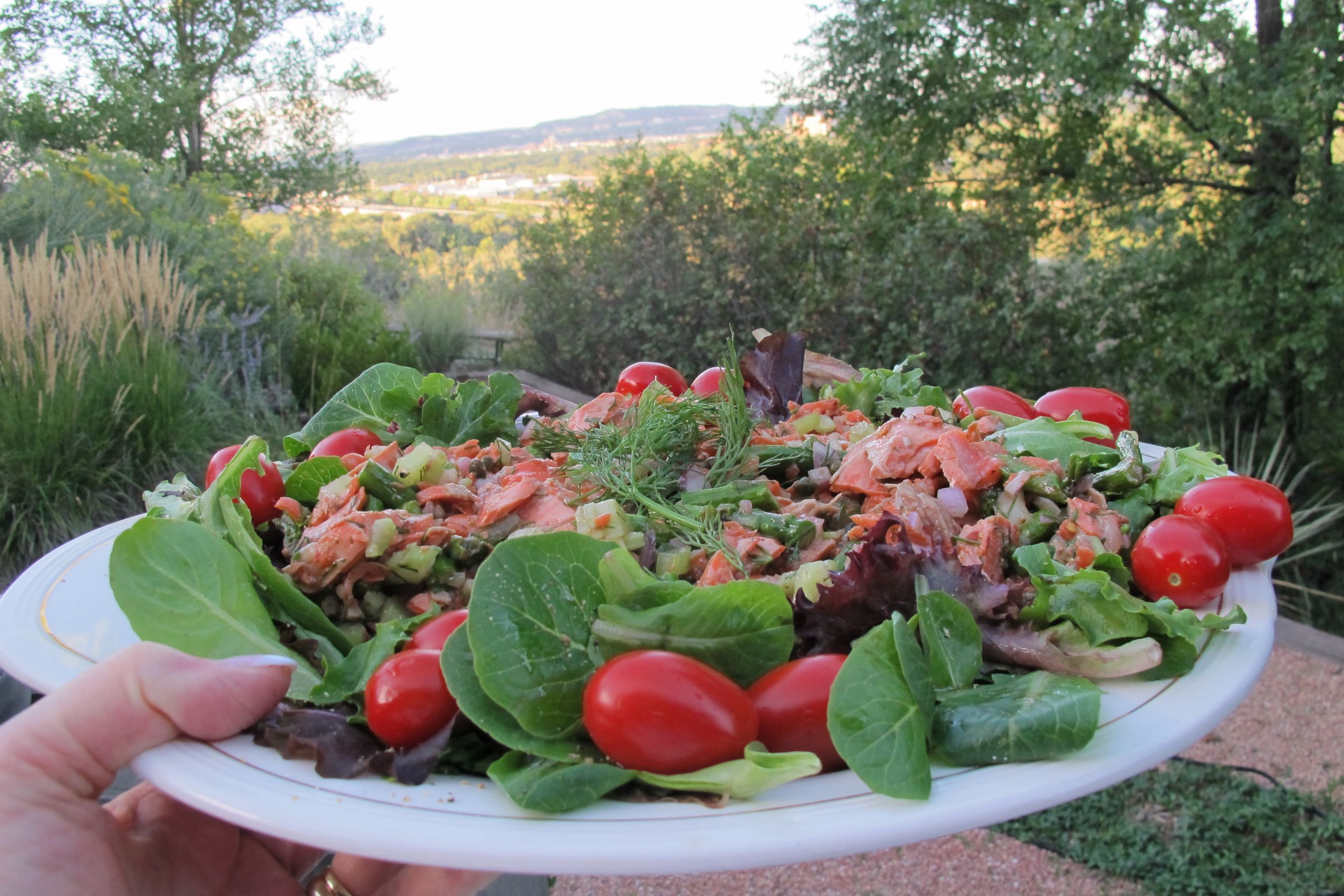 Ina Garten Salmon Salad
 Ina Fridays — Soups Salads Sides — Grilled Salmon Salad